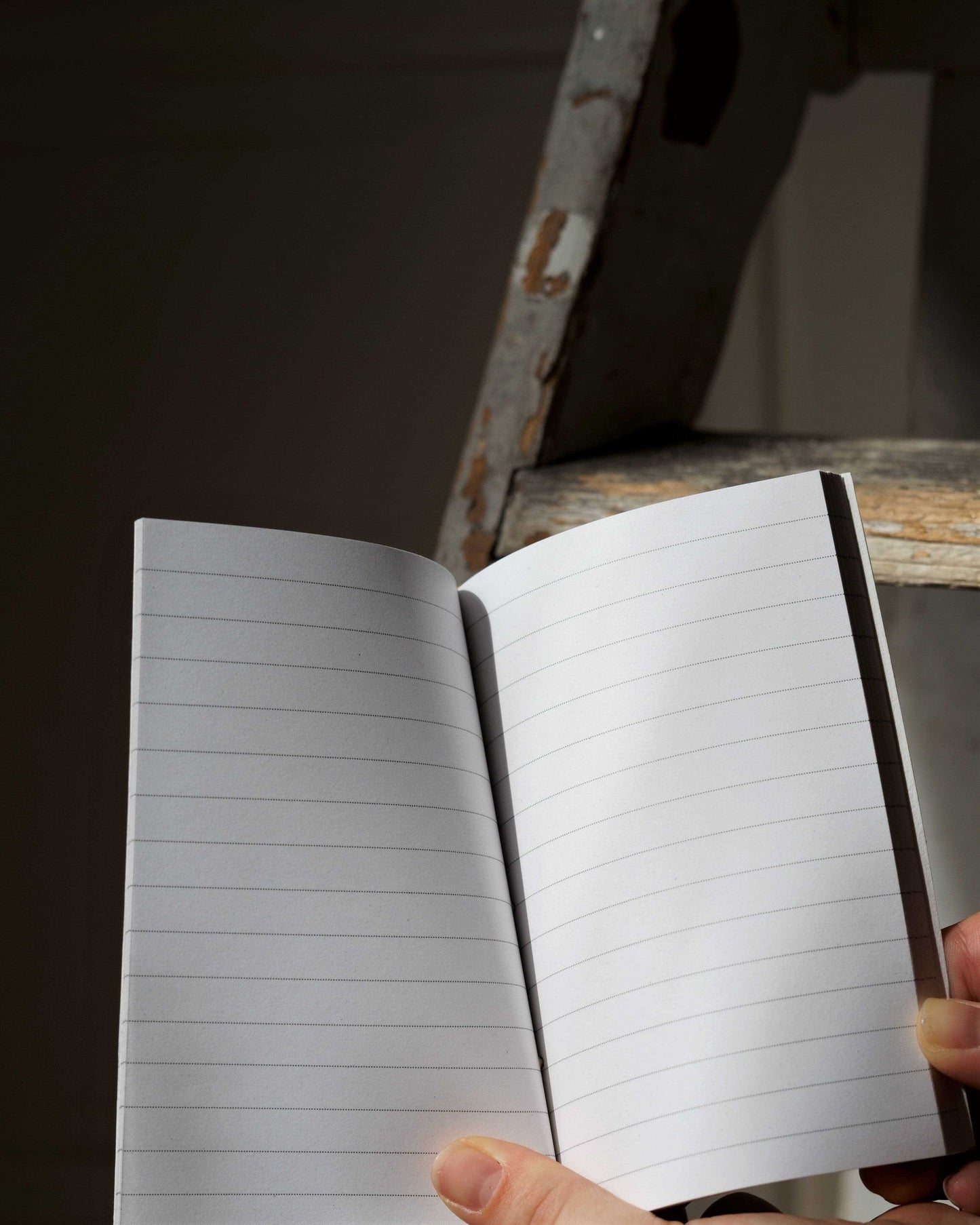 Petit carnet japonais - Baies bleues/or