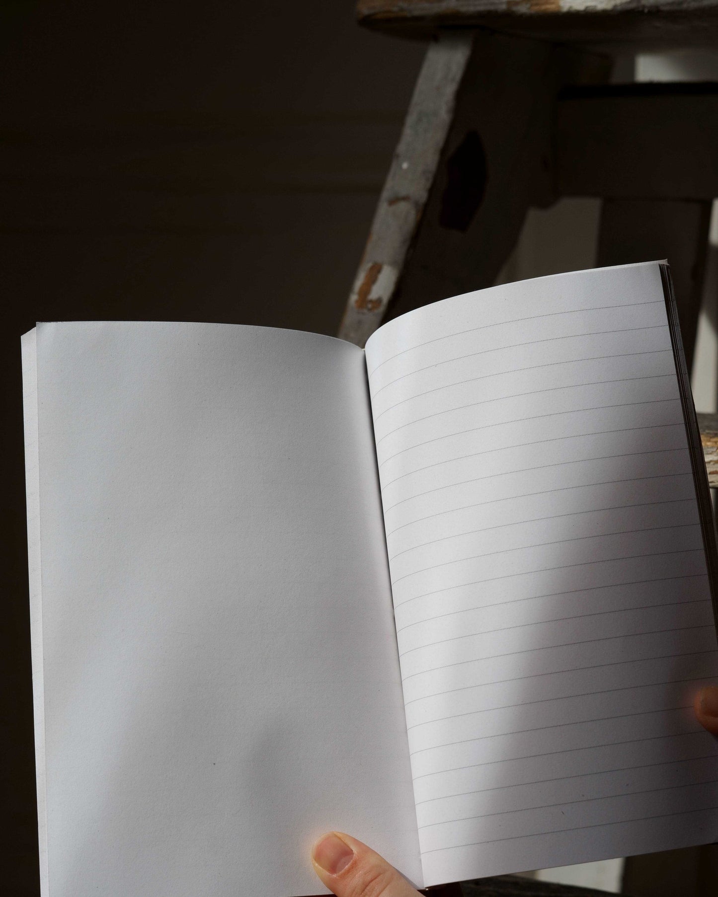 Grand carnet japonais - Grues vertes